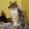 Отзыв от Алина Попова